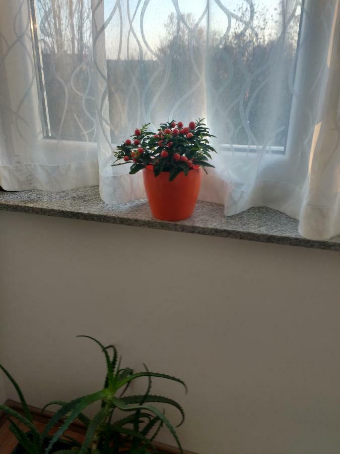 Meridian Apartment , 300M To Bus Terminal, Fast Wifi & Airport Transf ザグレブ エクステリア 写真